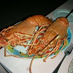 Amand Gozo 2011 135