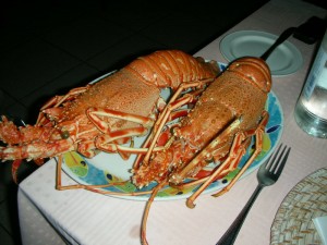 Amand Gozo 2011 135