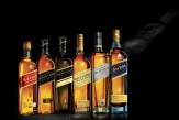 JW Line Up