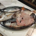 La Vela May 2015 - IMG_3818 (1)