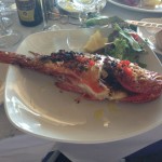 Qbajjar Restaurant -IMG_4185 (31)