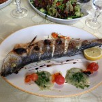 Ron's Marsaxlokk - IMG_4134 (12)