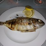 San Andrea Rabat -IMG_5092 (9)
