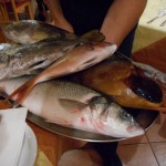 La Capanna  October  2015 - DSCN0246 (1)