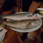 La Capanna  October  2015 - DSCN0246 (2)