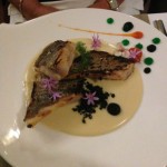 Umami - IMG_5682 (11)