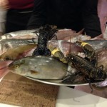 La Vela Nogvember 2015 -IMG_5974 (1)