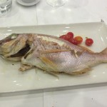 La Vela Nogvember 2015 -IMG_5974 (14)