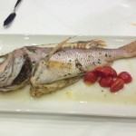 La Vela Nogvember 2015 -IMG_5974 (15)