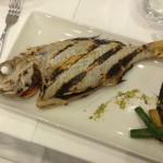 La Vela Nogvember 2015 -IMG_5974 (16)