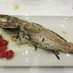 La Vela Nogvember 2015 -IMG_5974 (17)