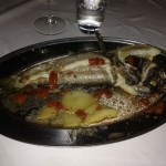 Pintonino Nov 2015 - IMG_6235 (7)
