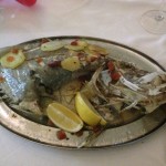 Pintonino Nov 2015 - IMG_6235 (9)